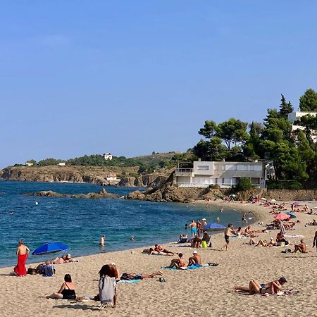 Studio Moderne Argeles Sur Mer.La Plage A Pieds, Espagne A 30Mn Dış mekan fotoğraf