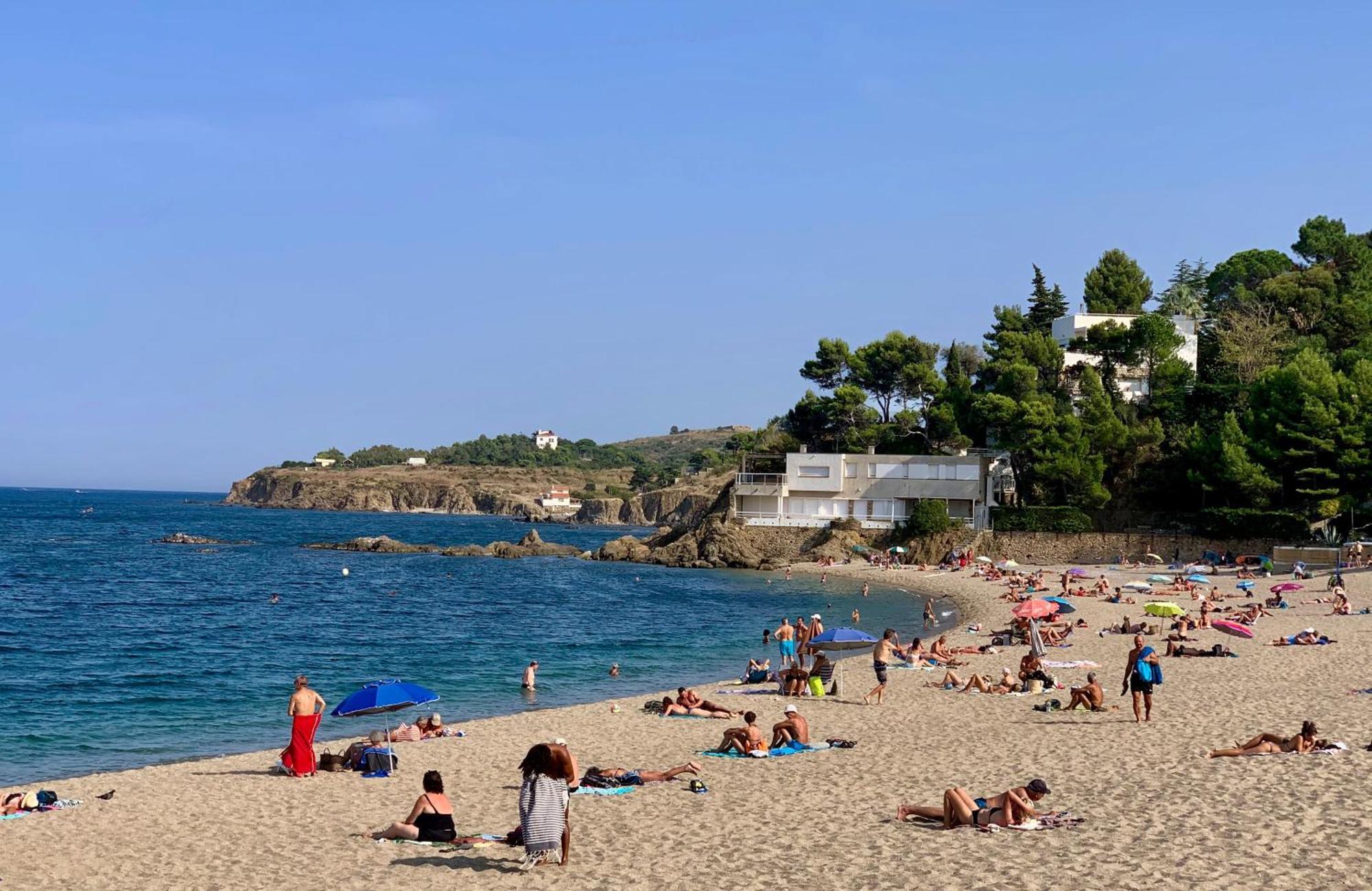 Studio Moderne Argeles Sur Mer.La Plage A Pieds, Espagne A 30Mn Dış mekan fotoğraf